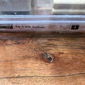 Stampin' Up! Say It With Scallops Design Stamp Set